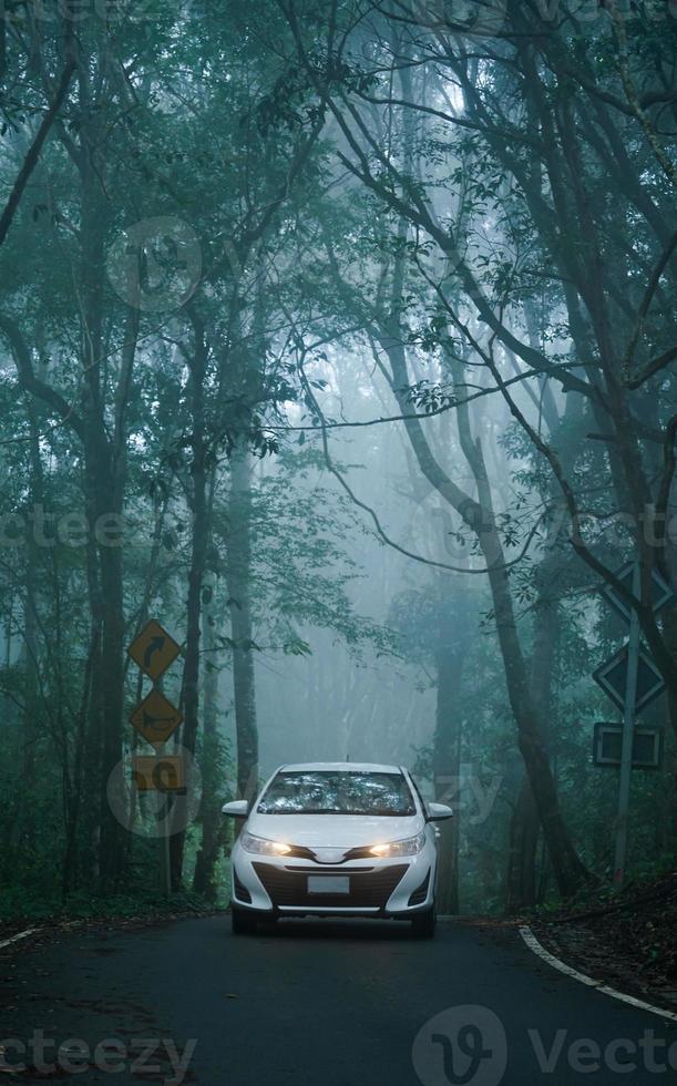 car driving in dark and foggy forest road photo