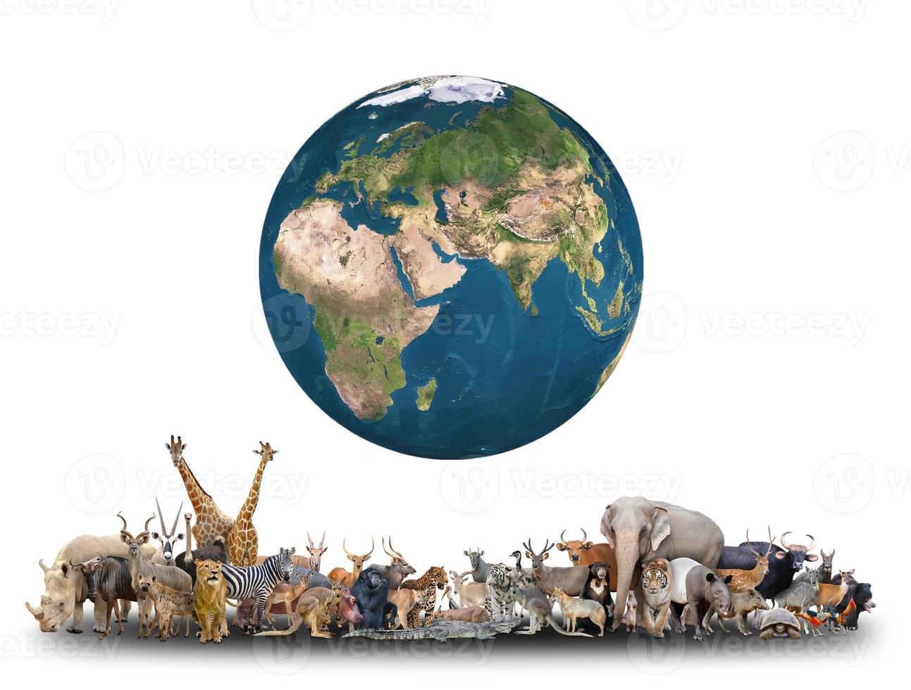 animal of the world with planet earth photo