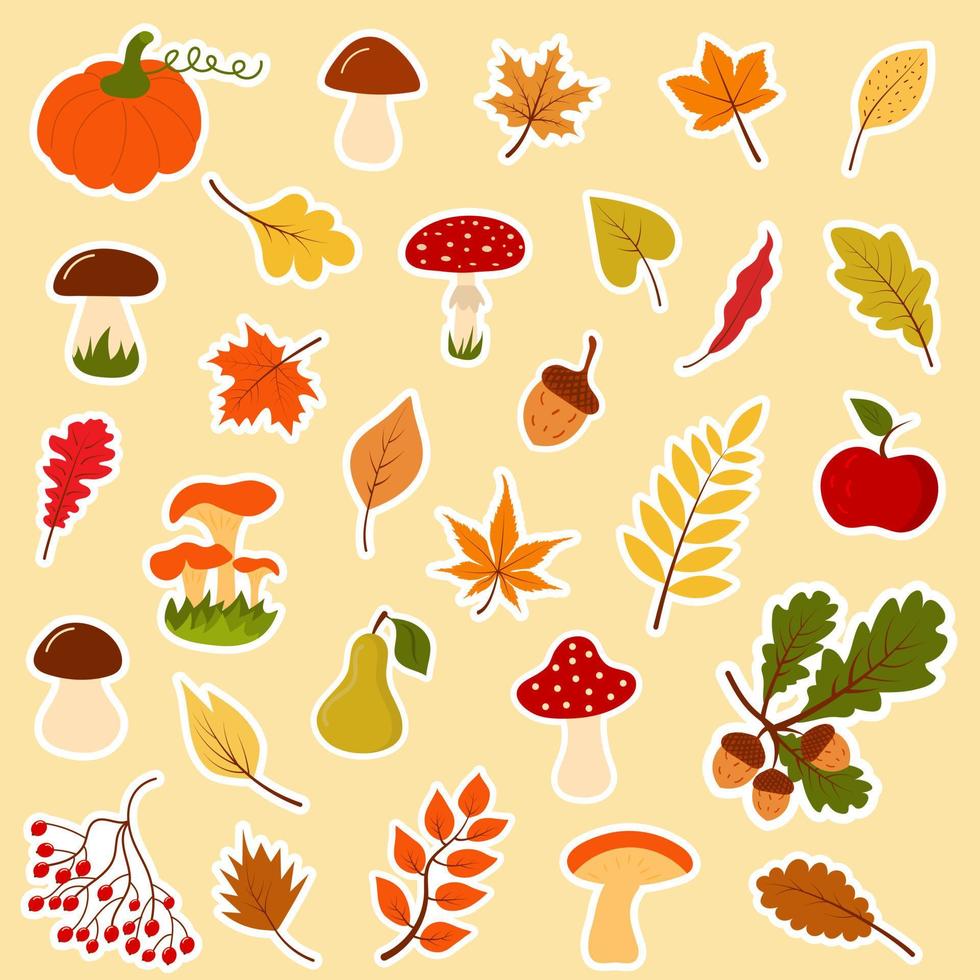 Big autumn forest set of stickers. Collection of fallen leaves, mushrooms, acorns, berries, twigs, fruit and vegetables. vector