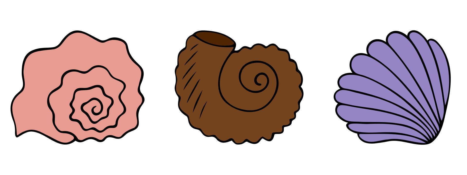 Sea shell. Underwater fossils set. Color vector illustration collection