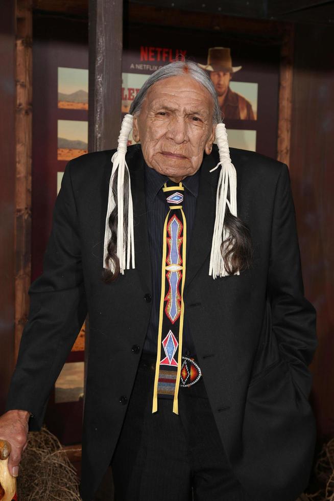 LOS ANGELES, NOV 30 - Saginaw Grant at the The Ridiculous 6 Los Angeles Premiere at the AMC Universal City Walk on November 30, 2015 in Los Angeles, CA photo