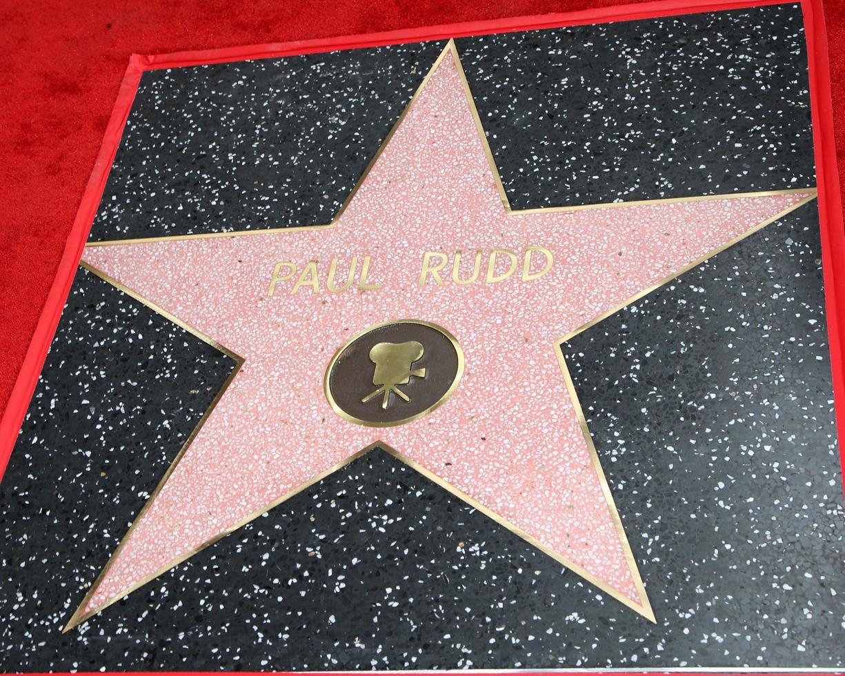 vLOS ANGELES, JUL 1 - Paul Rudd Star at the Paul Rudd Hollywood Walk of Fame Star Ceremony at the El Capitan Theater Sidewalk on July 1, 2015 in Los Angeles, CA photo