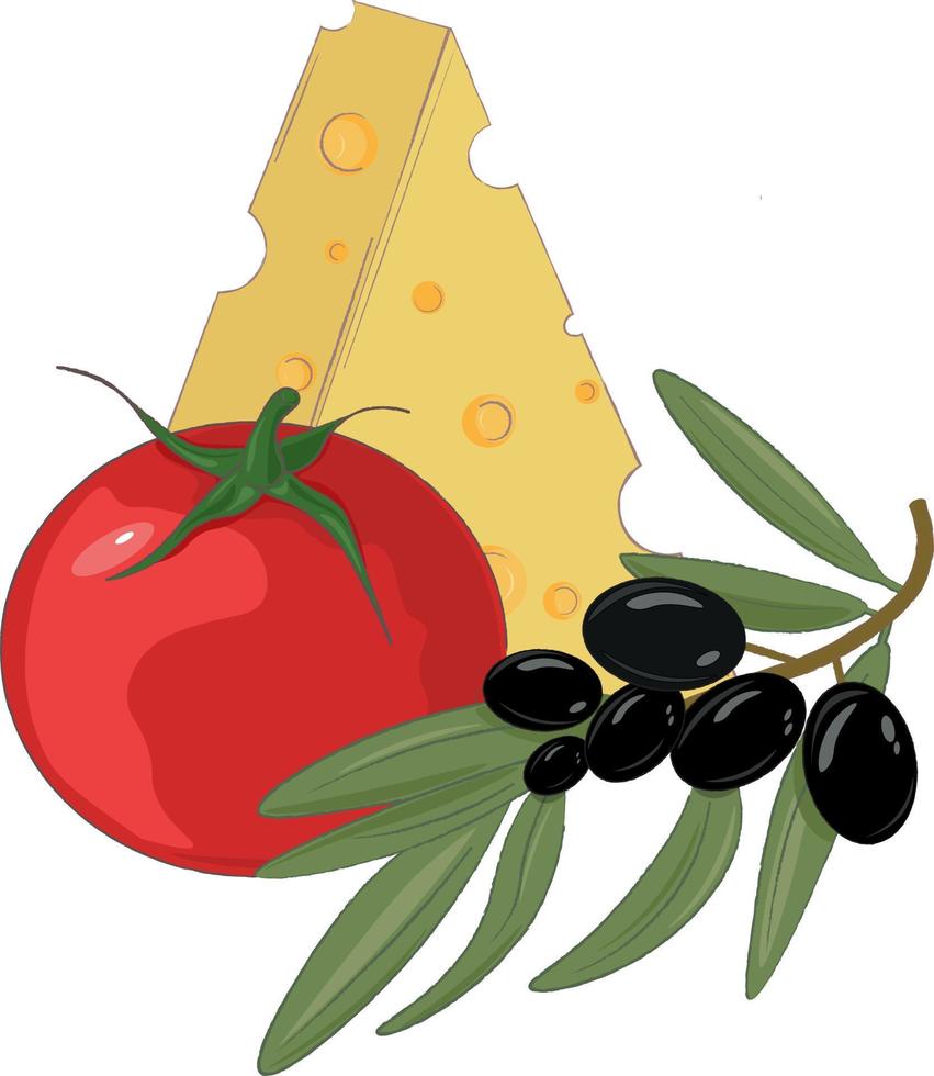 cheese tomato and olive branch illustration vector