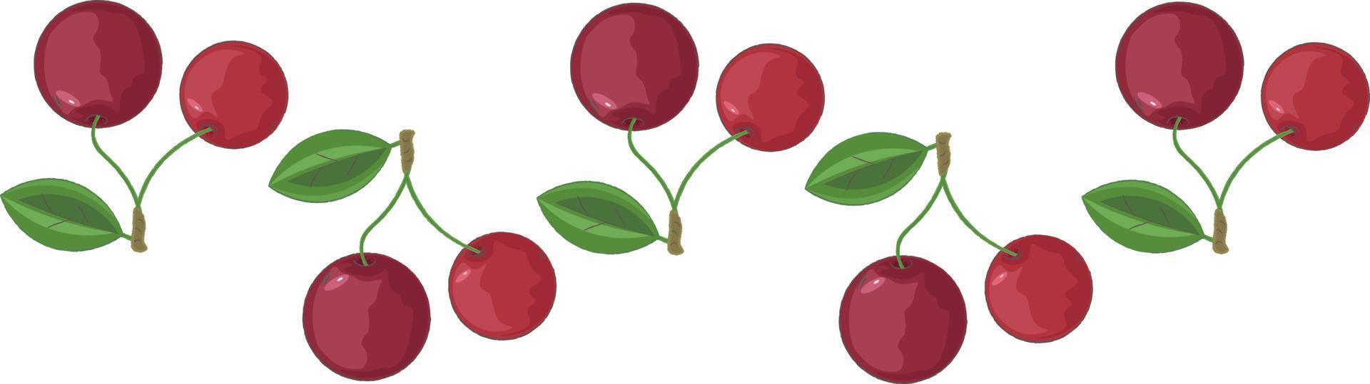 cherry berry illustration with leaves vector