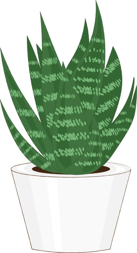 aloe vera plant in pot vector