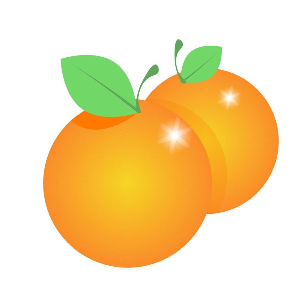 Two oranges together vector