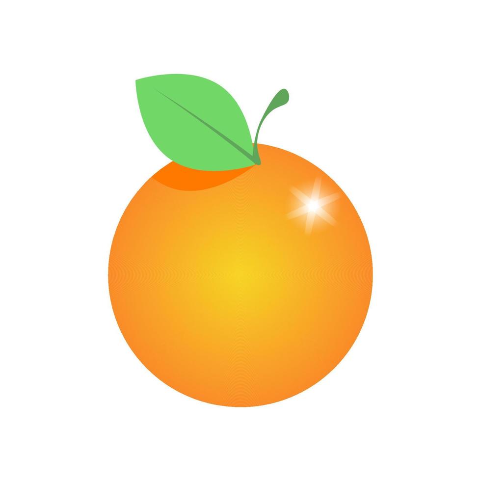 Orange with green leaf vector