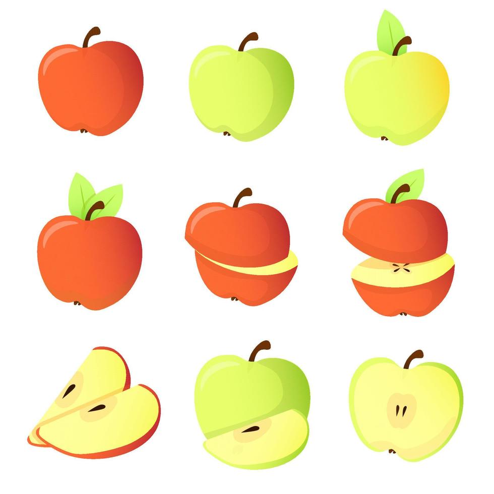 Set of different apples vector