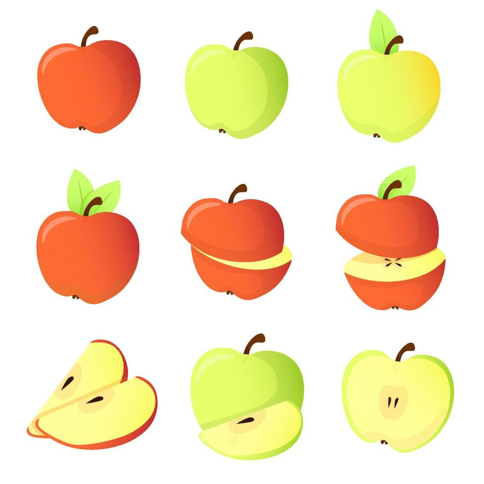 conjunto de diferentes manzanas vector