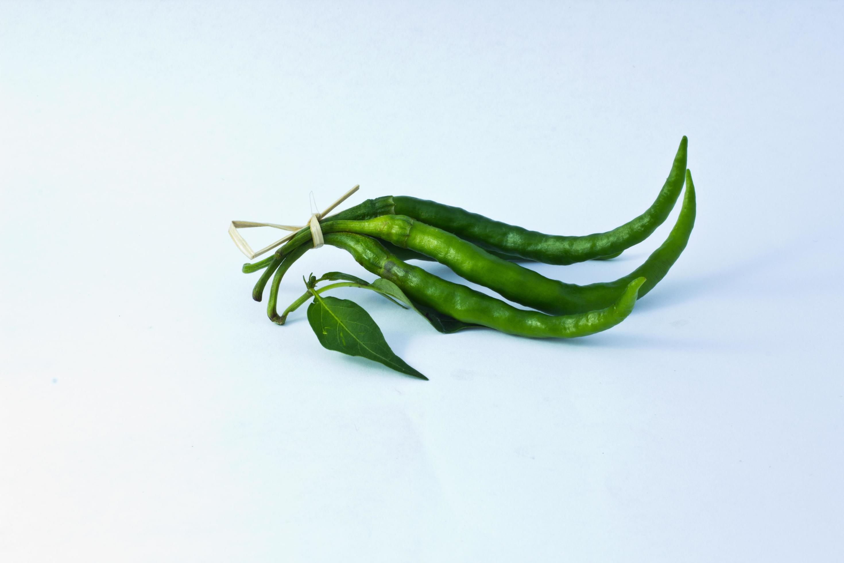 Bunch of green chilli 10098054 Stock Photo at Vecteezy