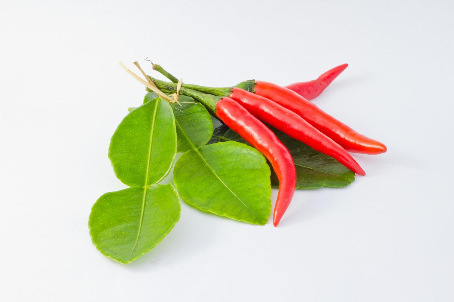Red chilli and kaffir lime leaf photo