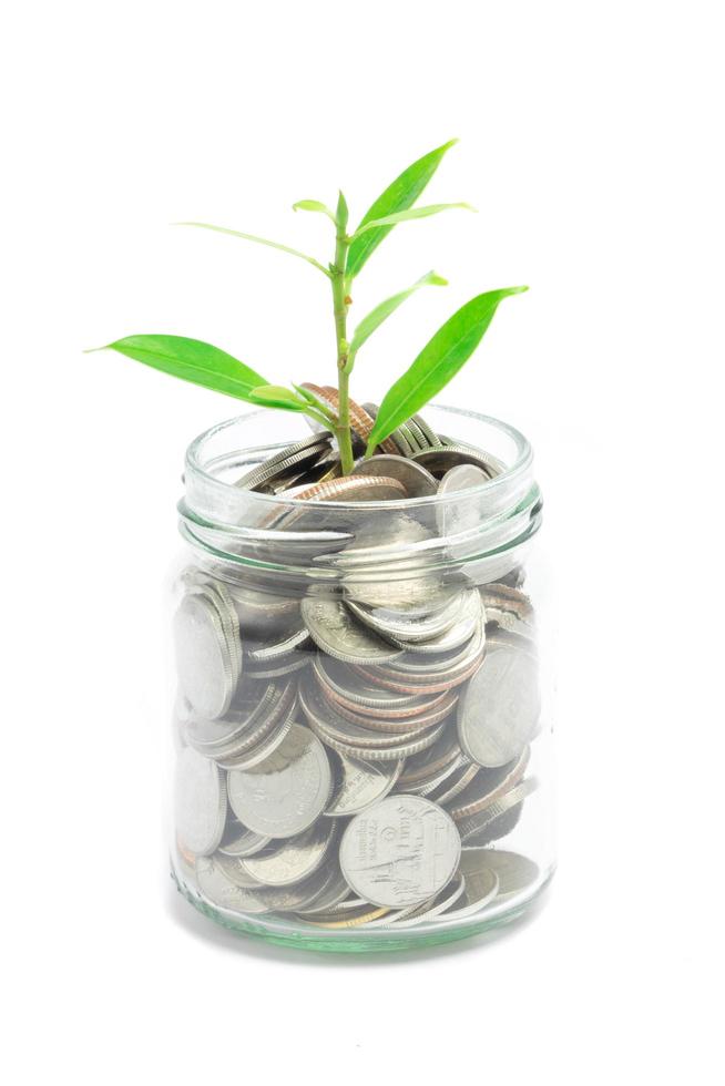 Mix coins with seed in clear bottle on white background,saving concept photo