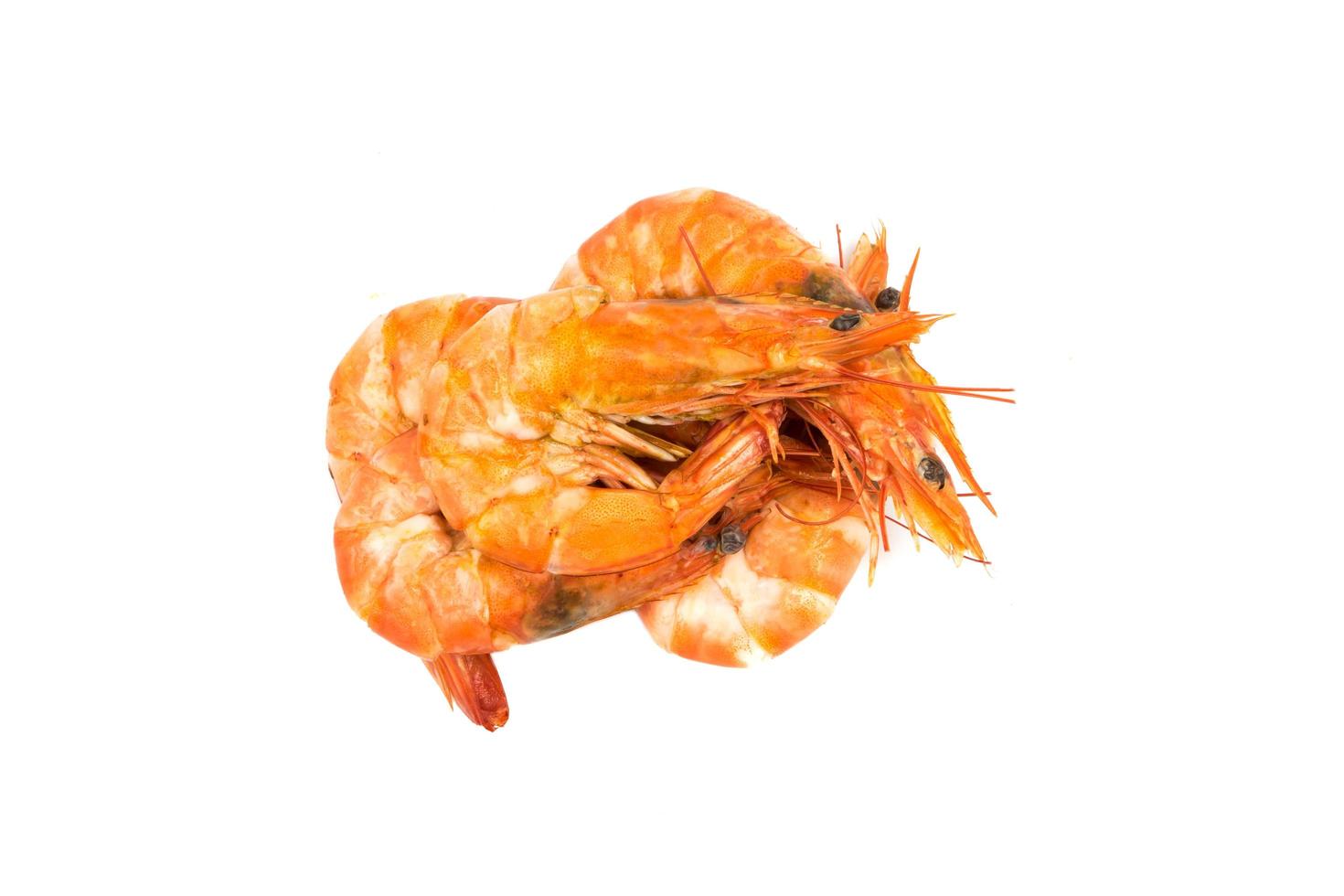 prawn on white background photo