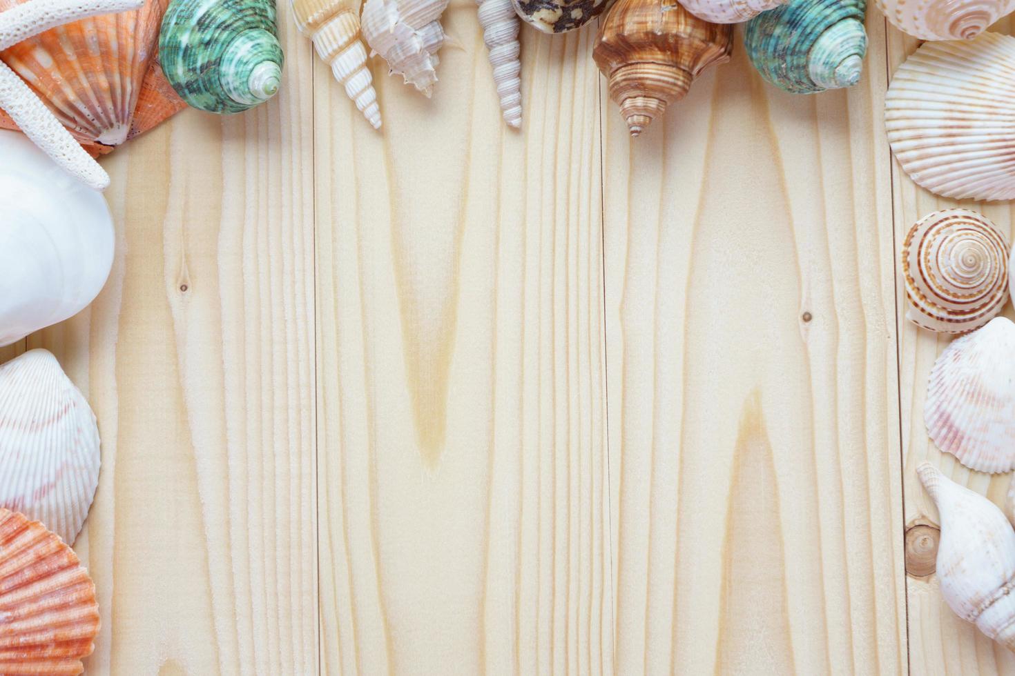 Sea shells on wooden background photo