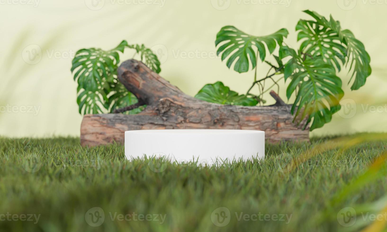3d rendering Minimal modern product display on neutral background. podium and green leaves. Concept scene stage showcase for new product, promotion sale, banner, presentation, cosmetic photo