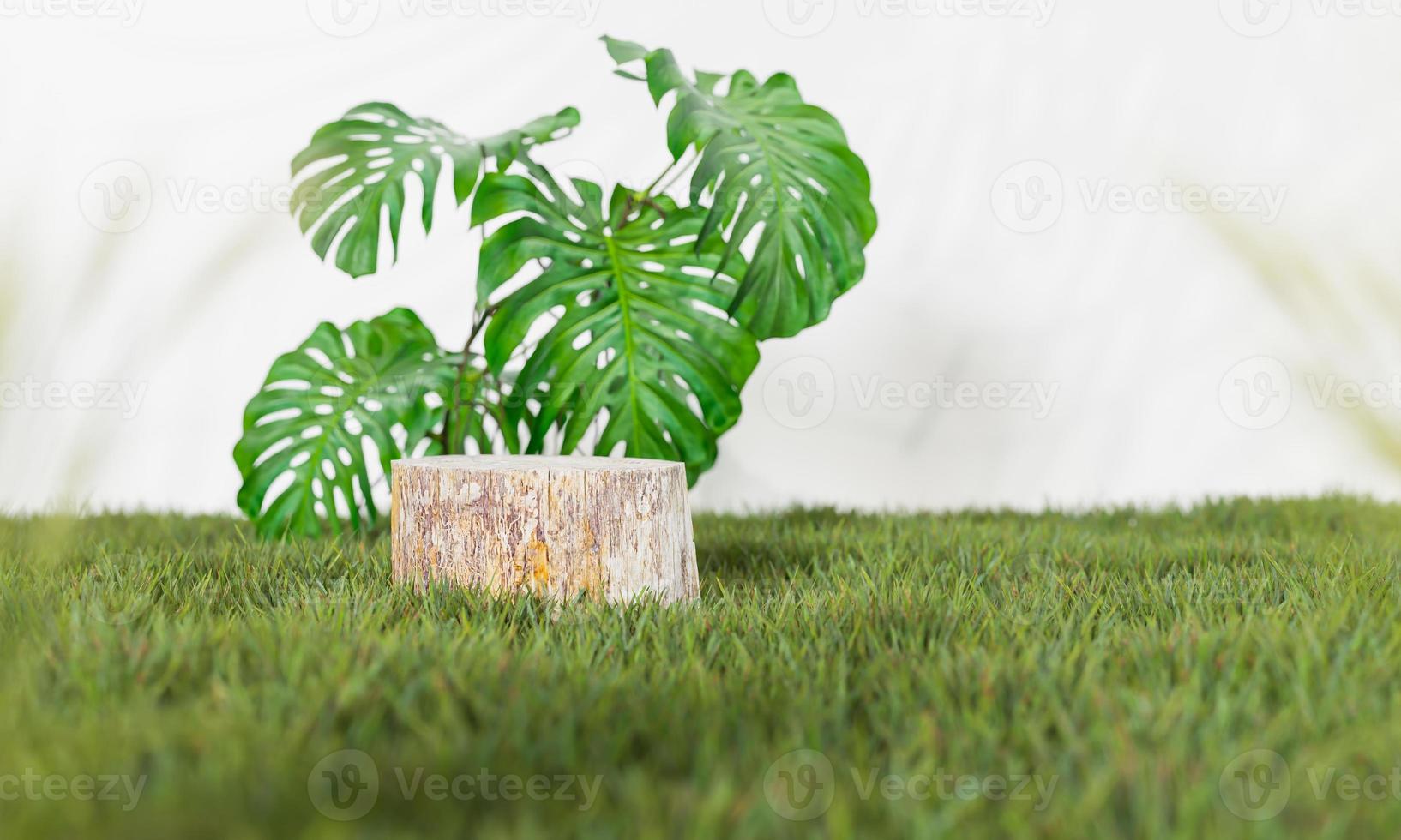 3d rendering Minimal modern product display on neutral background. podium and green leaves. Concept scene stage showcase for new product, promotion sale, banner, presentation, cosmetic photo