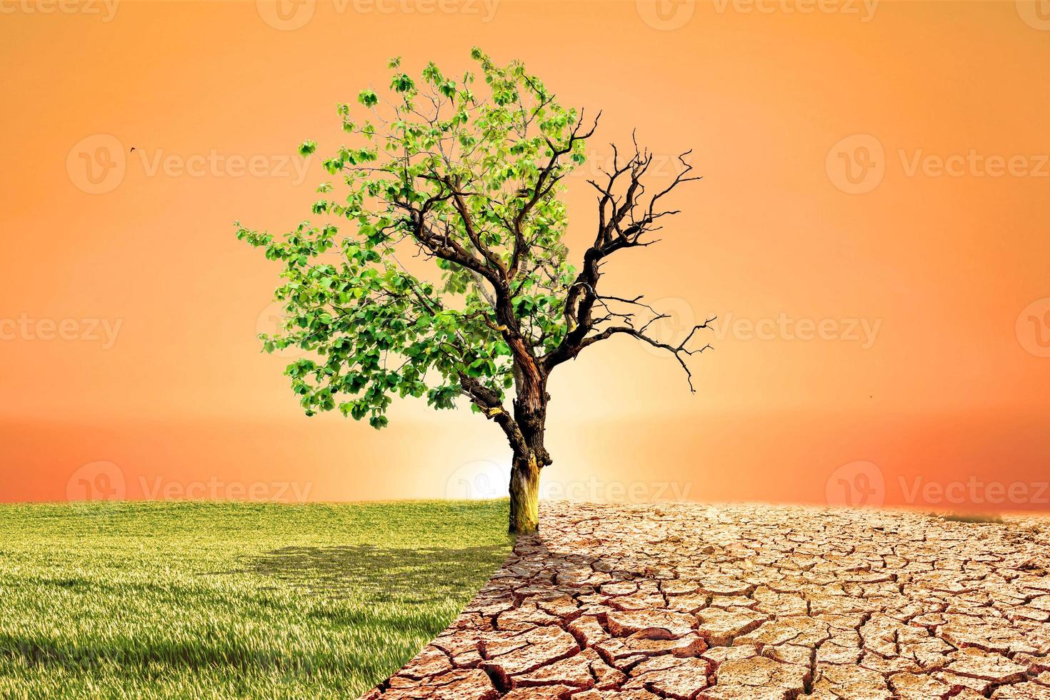 imagen del concepto de calentamiento global que muestra los efectos de la tierra seca foto