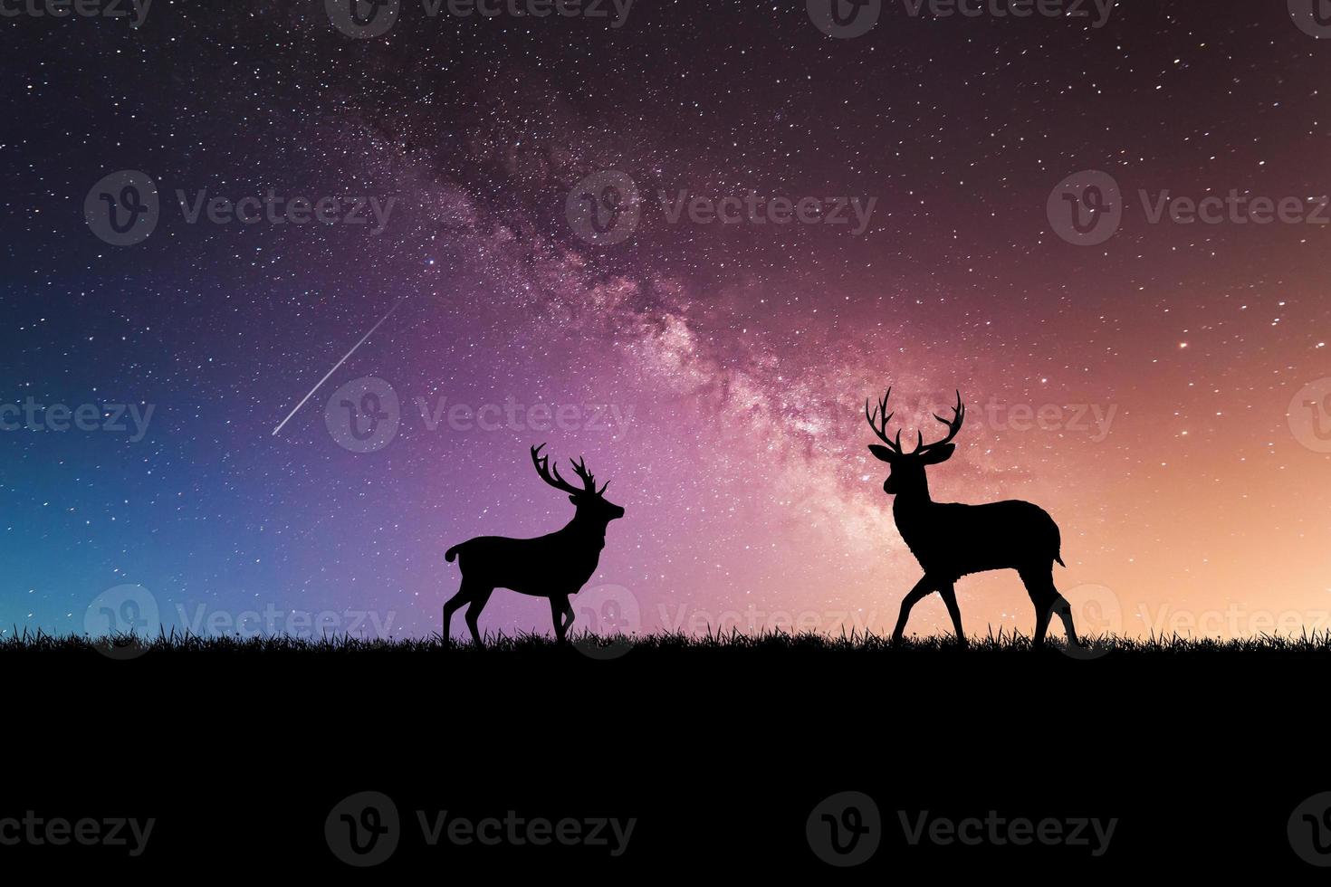 Night deer silhouette against the backdrop of the Milky Way. beautiful background images photo