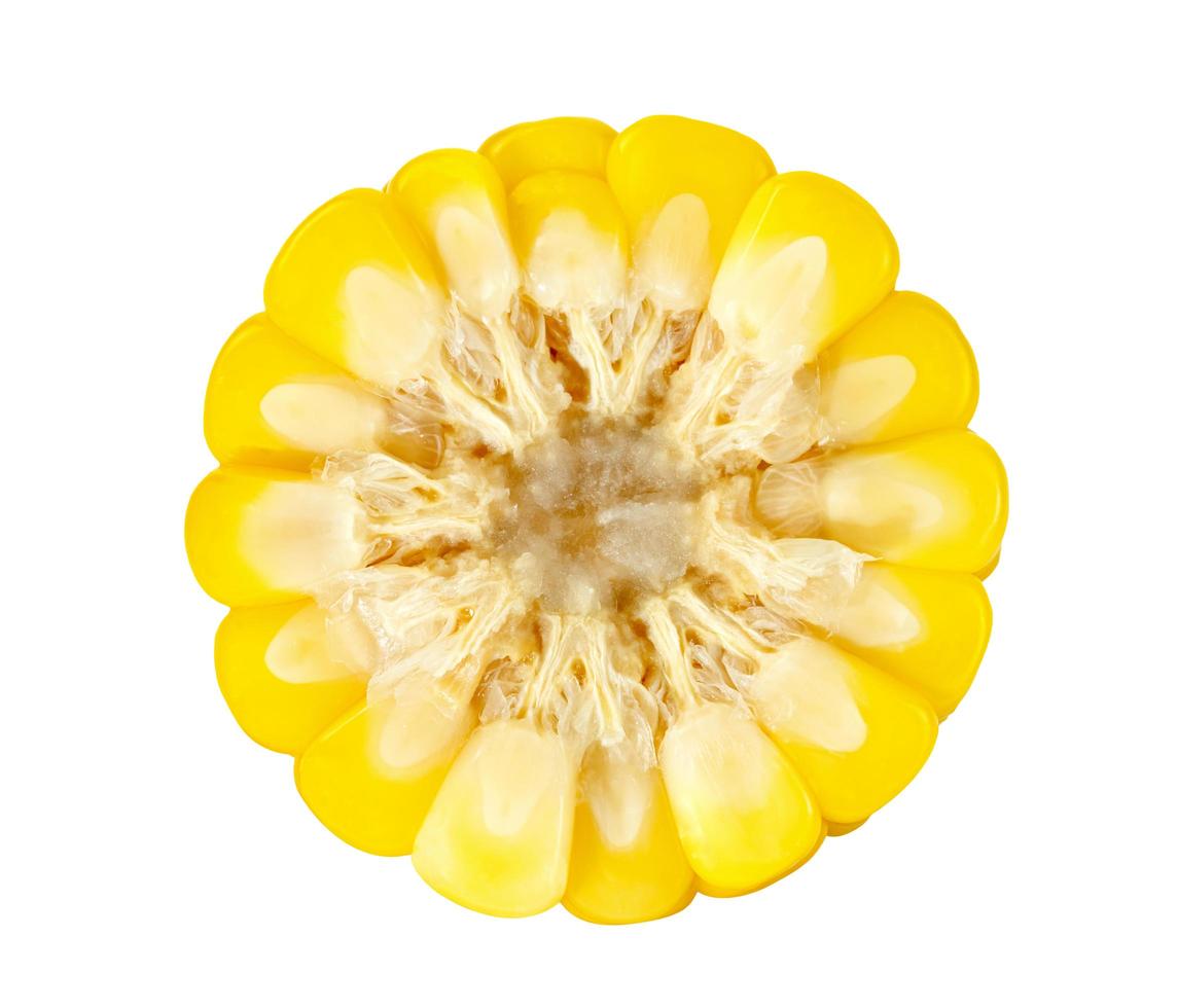 corn isolated on white background photo