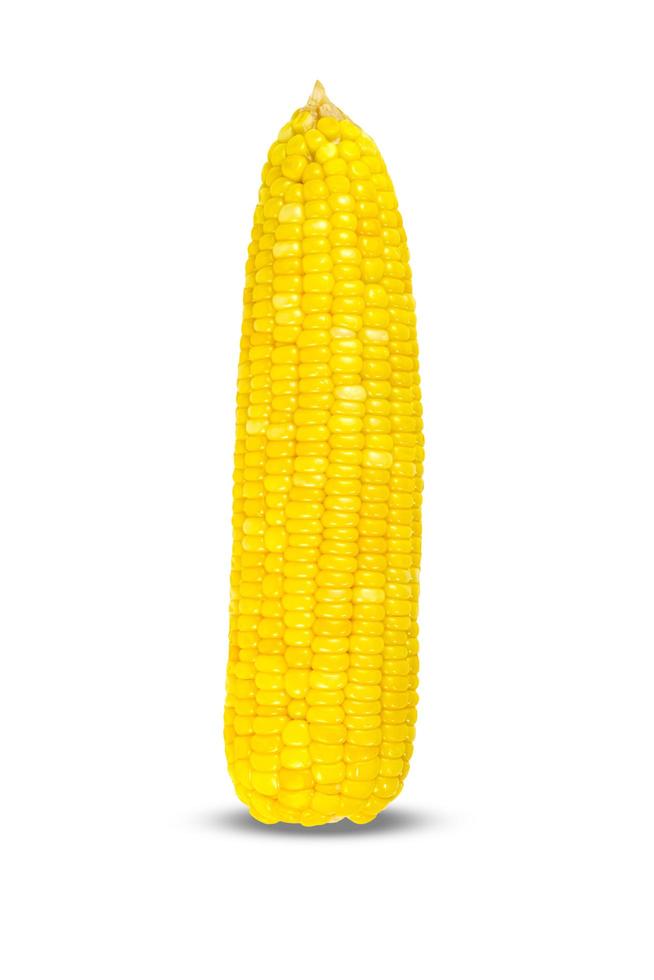 corn isolated on white background photo