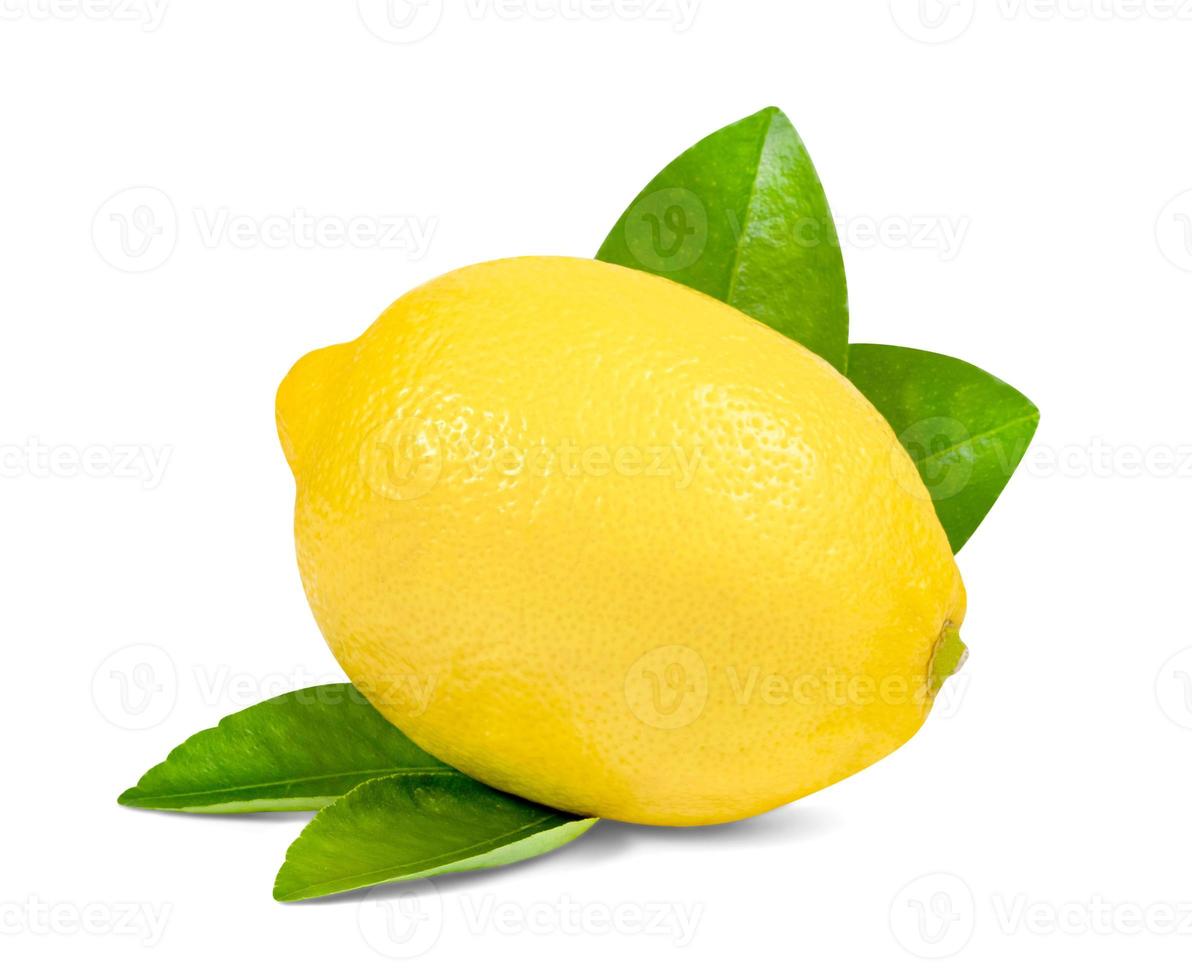 Lemon with leaf isolated on white background ,include clipping path photo