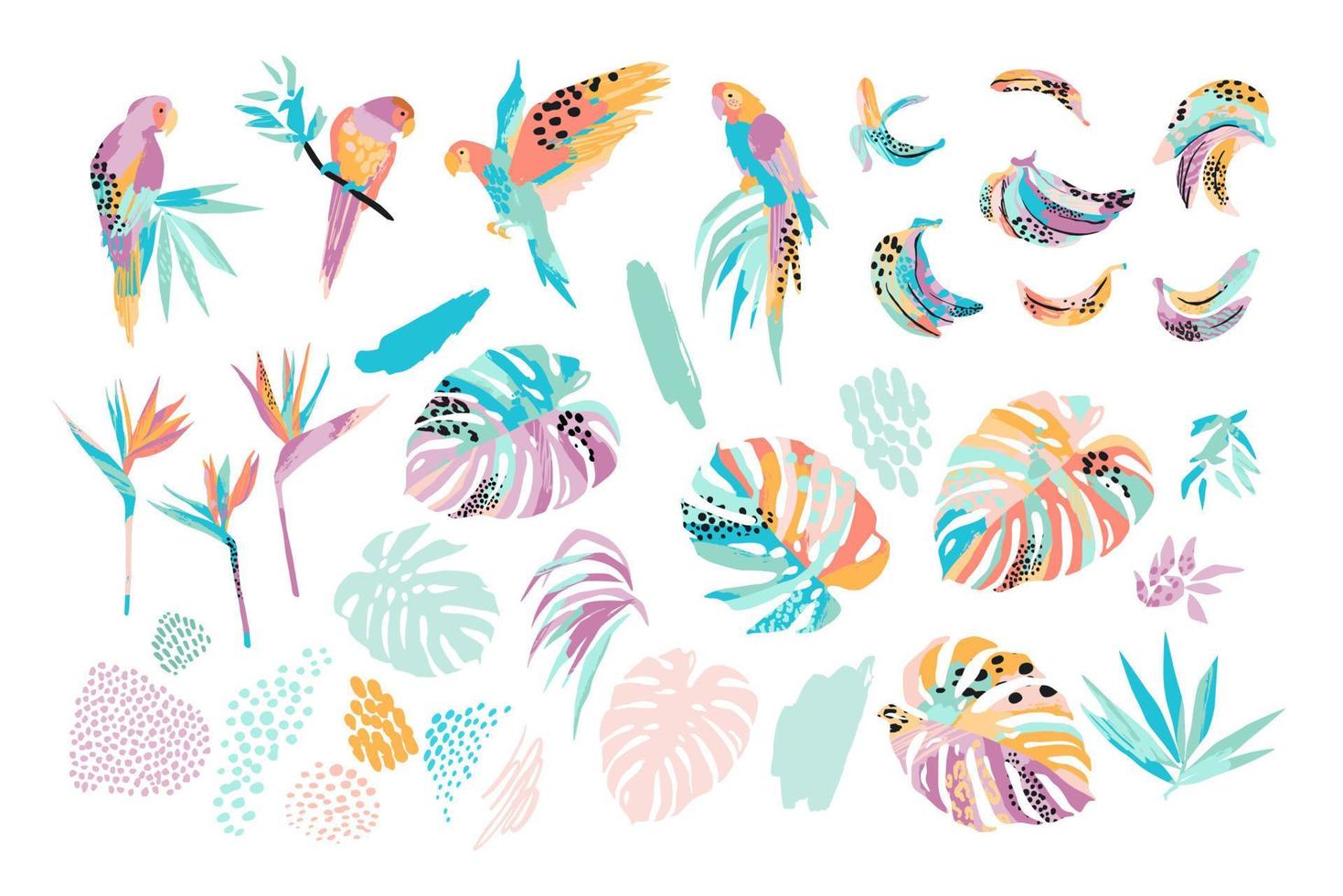 Vector illustrations of parrots, tropical leaves, bananas. Modern exotic design. Clipart, isolated elements.
