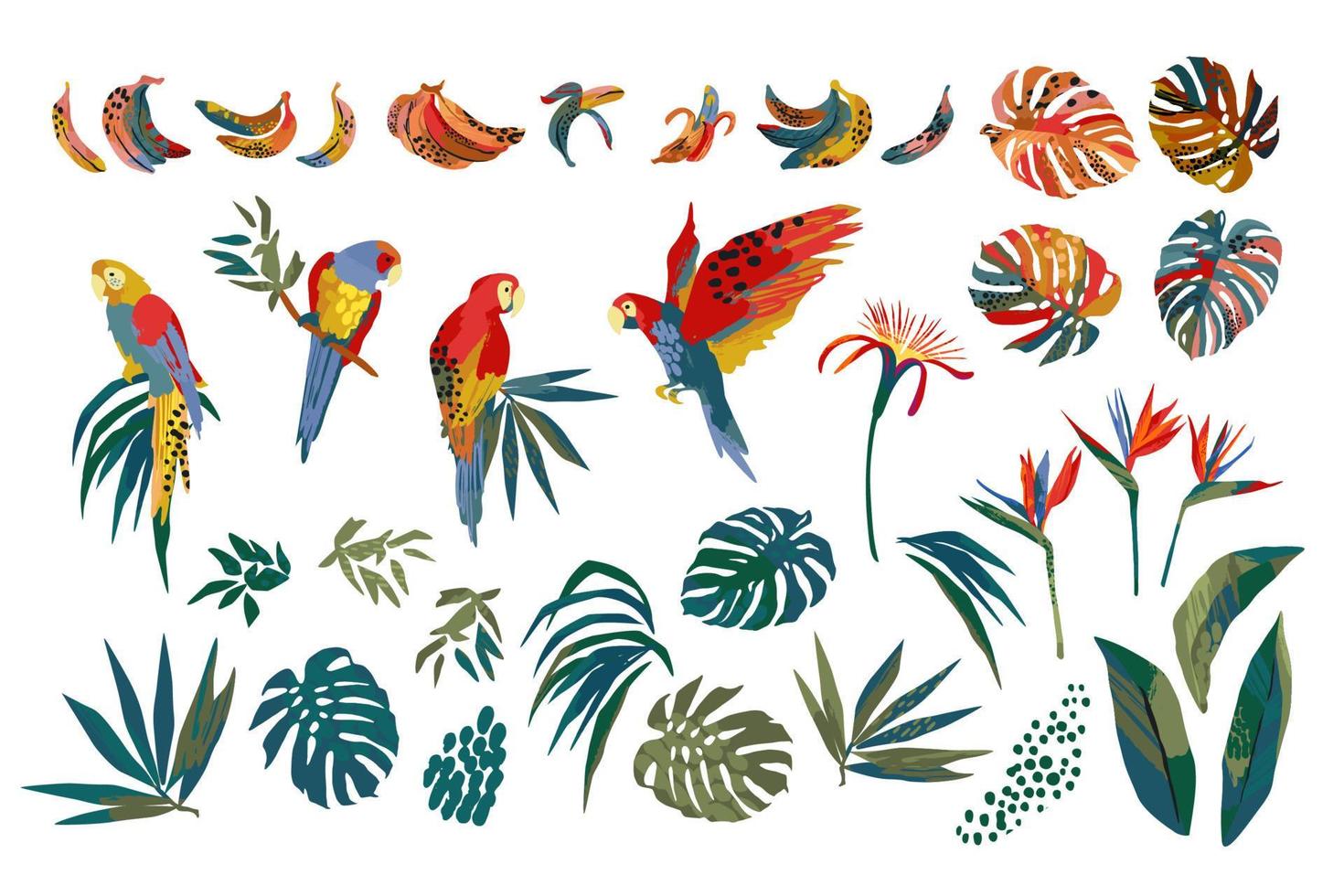 Vector illustrations of parrots, tropical leaves, bananas. Modern exotic design. Clipart, isolated elements.