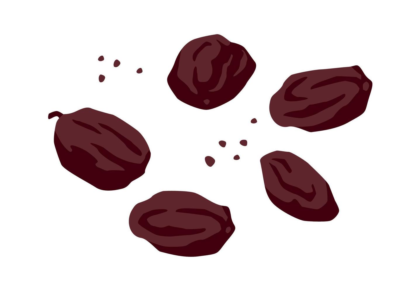 Set of drawn raisin, Vector illustration. Isolated elements for design