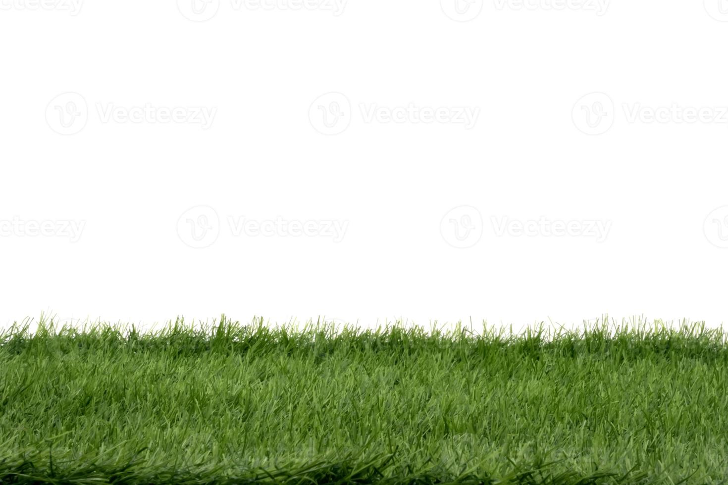 Green grass isolated on white background photo