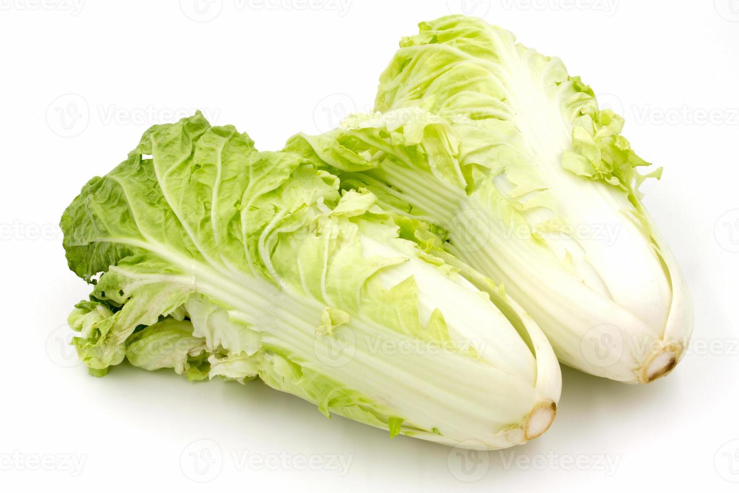 Chinese cabbage on a white background. photo