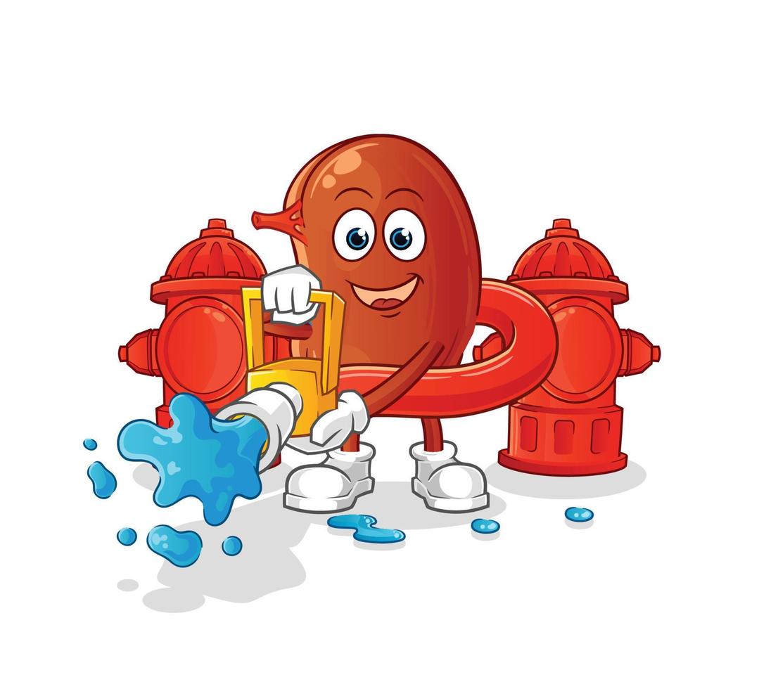 kidney cute vector