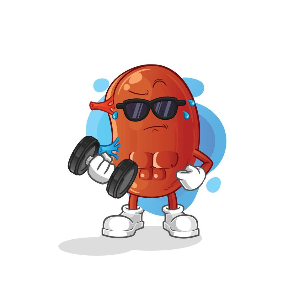 kidney cute vector