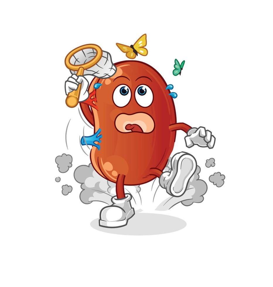 kidney mascot vector