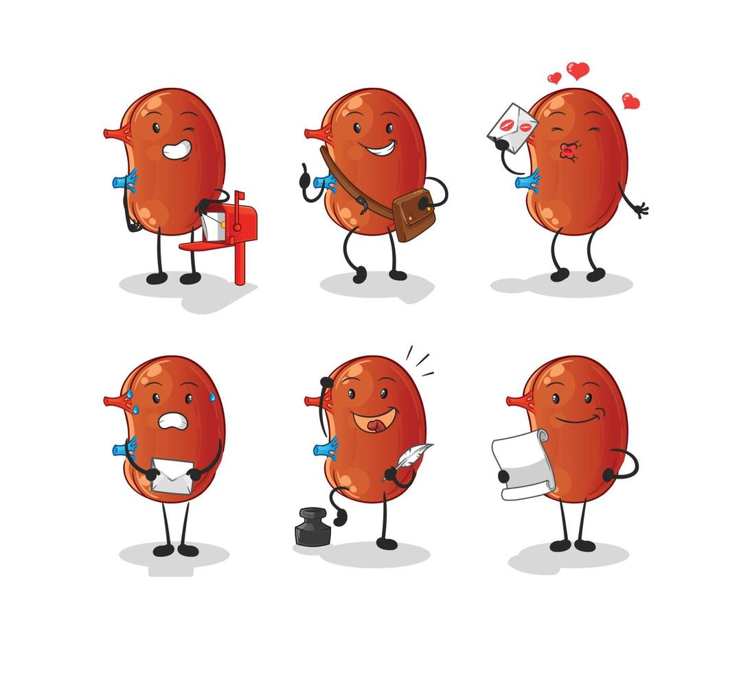 human kidney vector