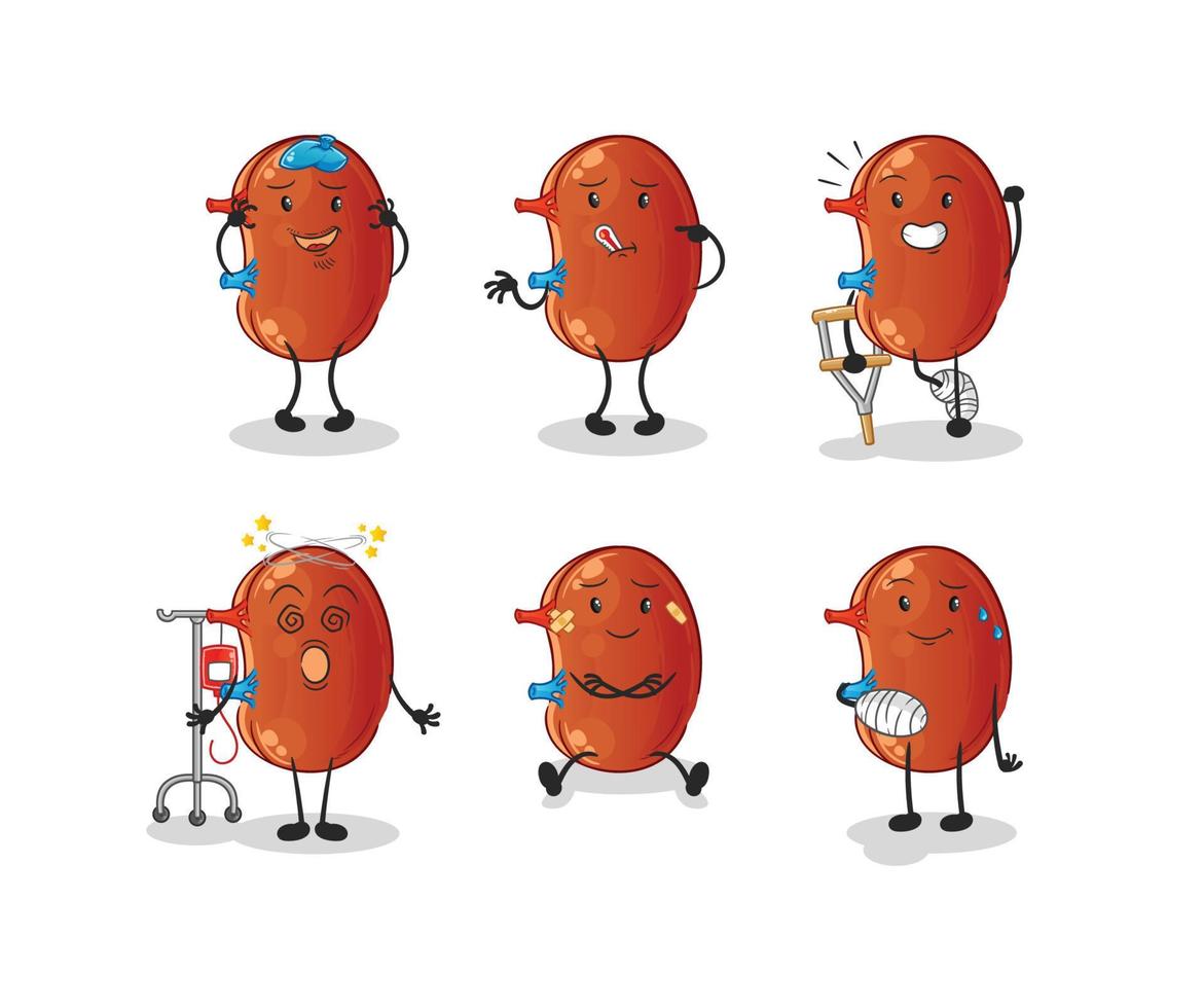 kidney mascot vector