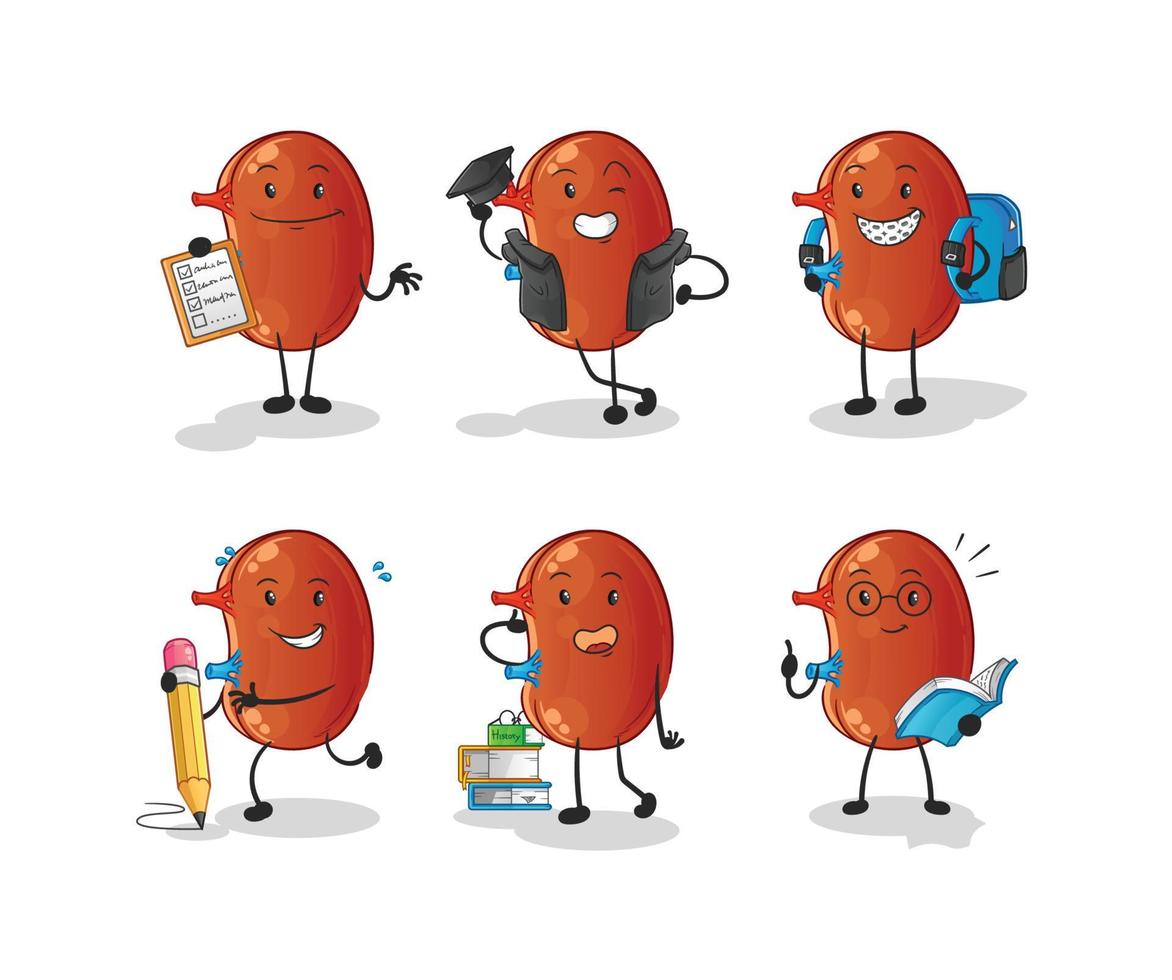 kidney mascot vector