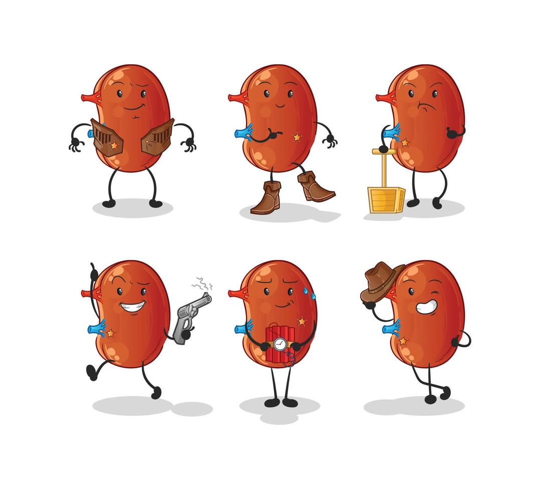 human kidney vector