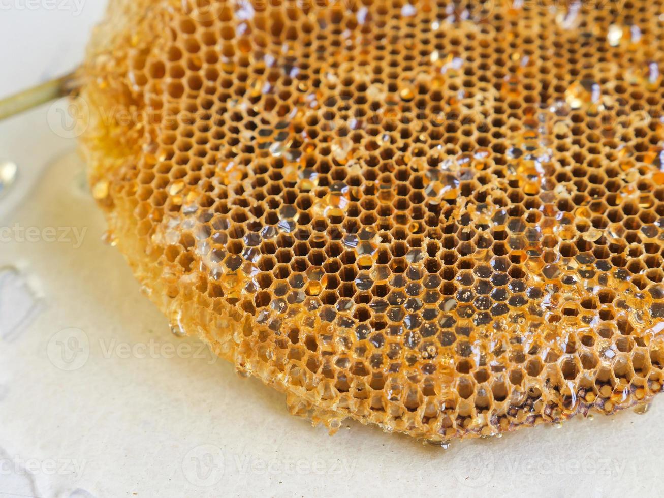 honeycomb with honey.Shallow depth of field. photo