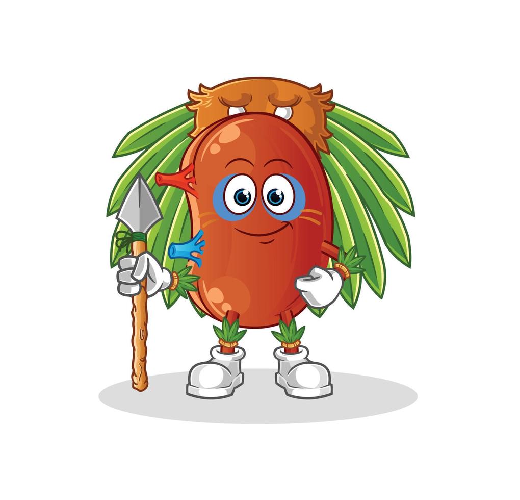 kidney cute vector