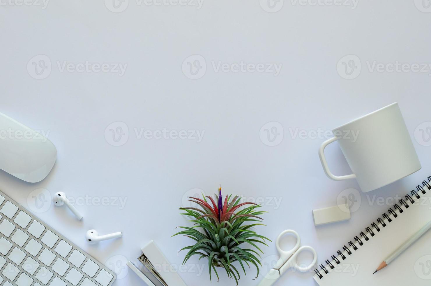 Background of work space concept with air plant Tillandsia and office stationery on white background. photo