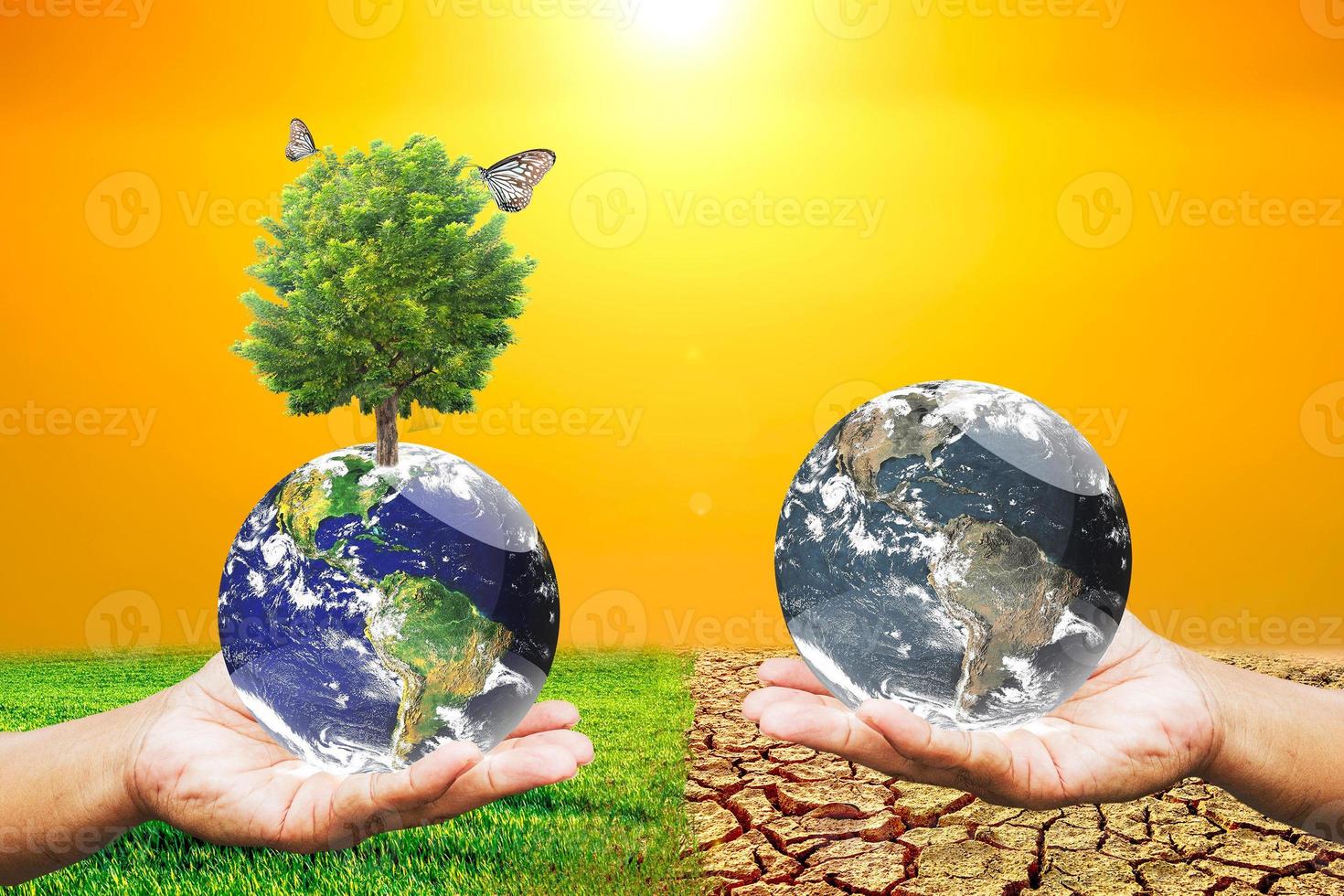 Global warming concept image showing the effects of dry land on the changing environment photo