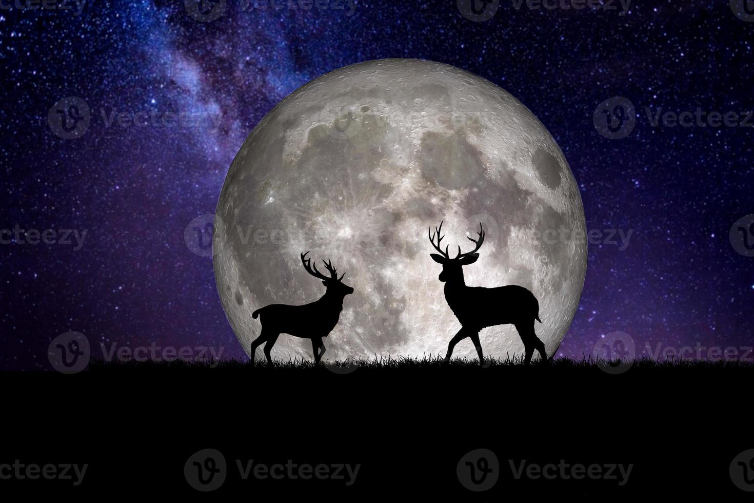 Night deer silhouette against the backdrop of a large moon element of the picture is decorated by NASA photo
