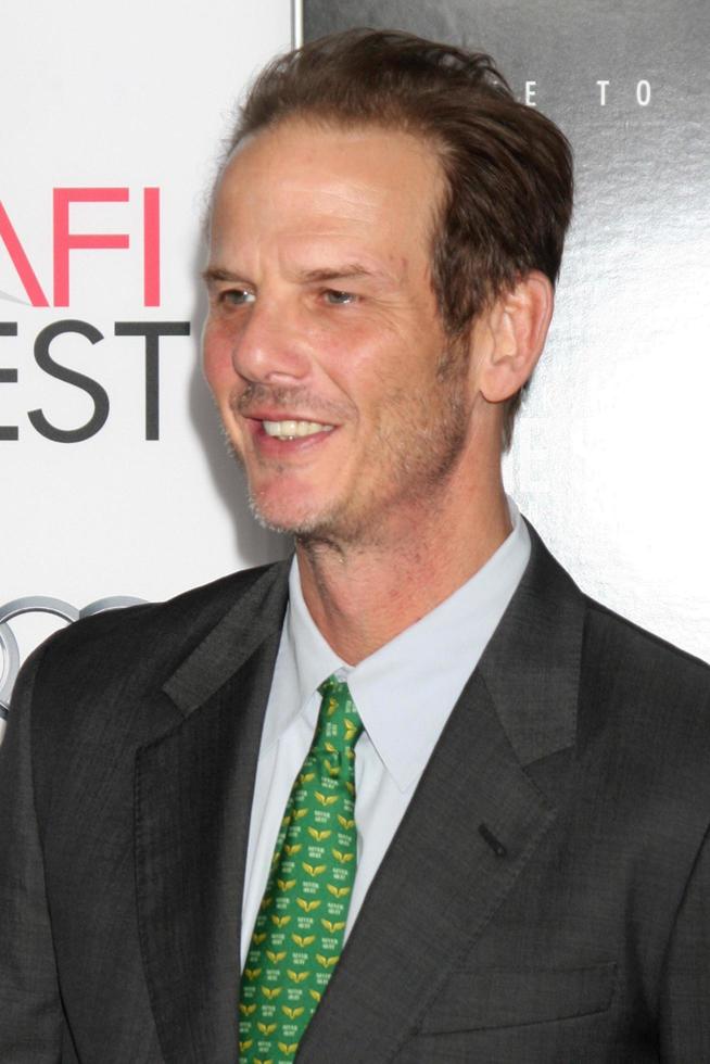 LOS ANGELES, NOV 12 - Peter Berg at the  Lone Survivor World Premiere at AFI Fest at TCL Chinese Theater on November 12, 2013 in Los Angeles, CA photo