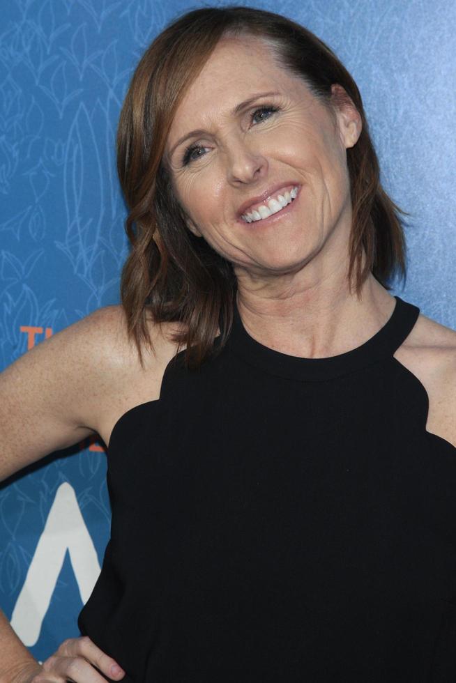 LOS ANGELES, JUN 3 - Molly Shannon at the Me And Earl And The Dying Girl LA Premiere at the Harmony Gold Theatre on June 3, 2015 in Los Angeles, CA photo