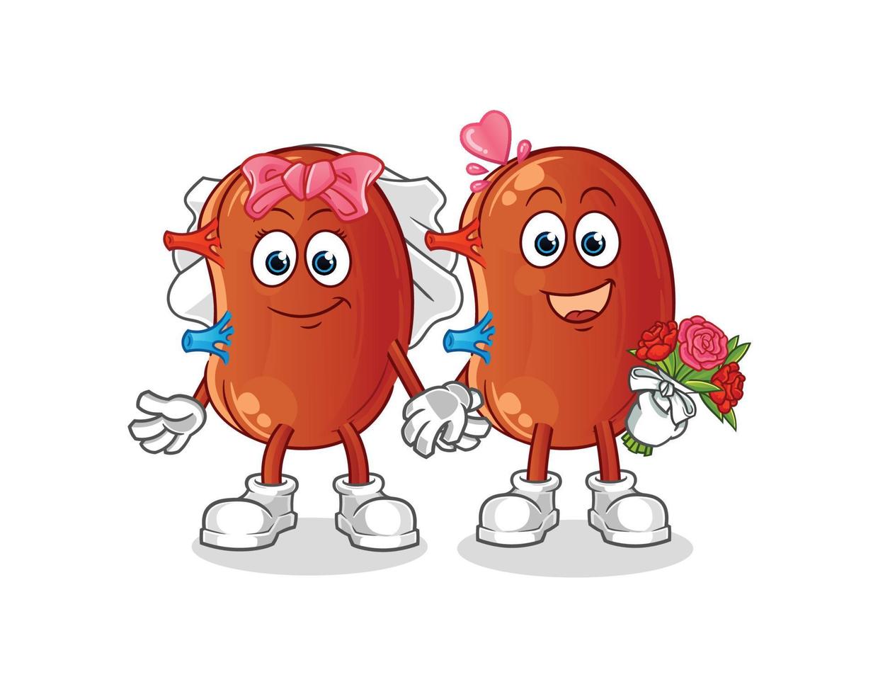 kidney cute vector