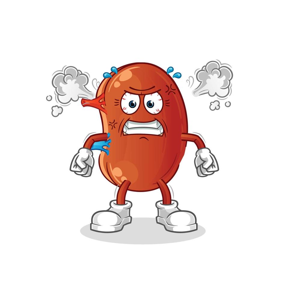 kidney mascot vector