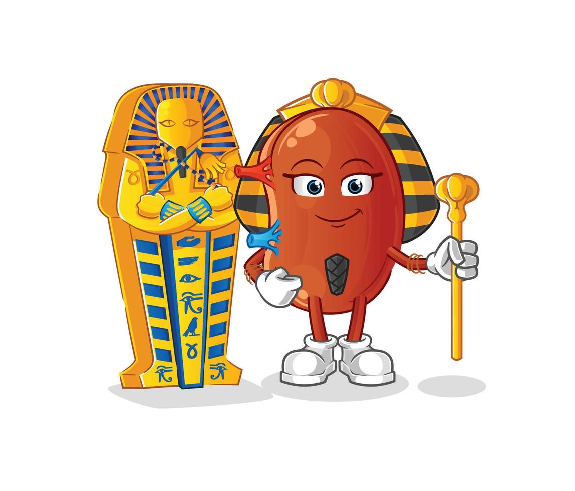 kidney mascot vector