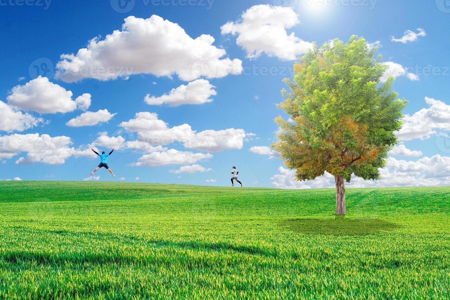 hermosos árboles en el prado. onely árbol entre campos verdes, en el cielo azul de fondo y nubes blancas. árbol verde y campo de hierba con nubes blancas foto