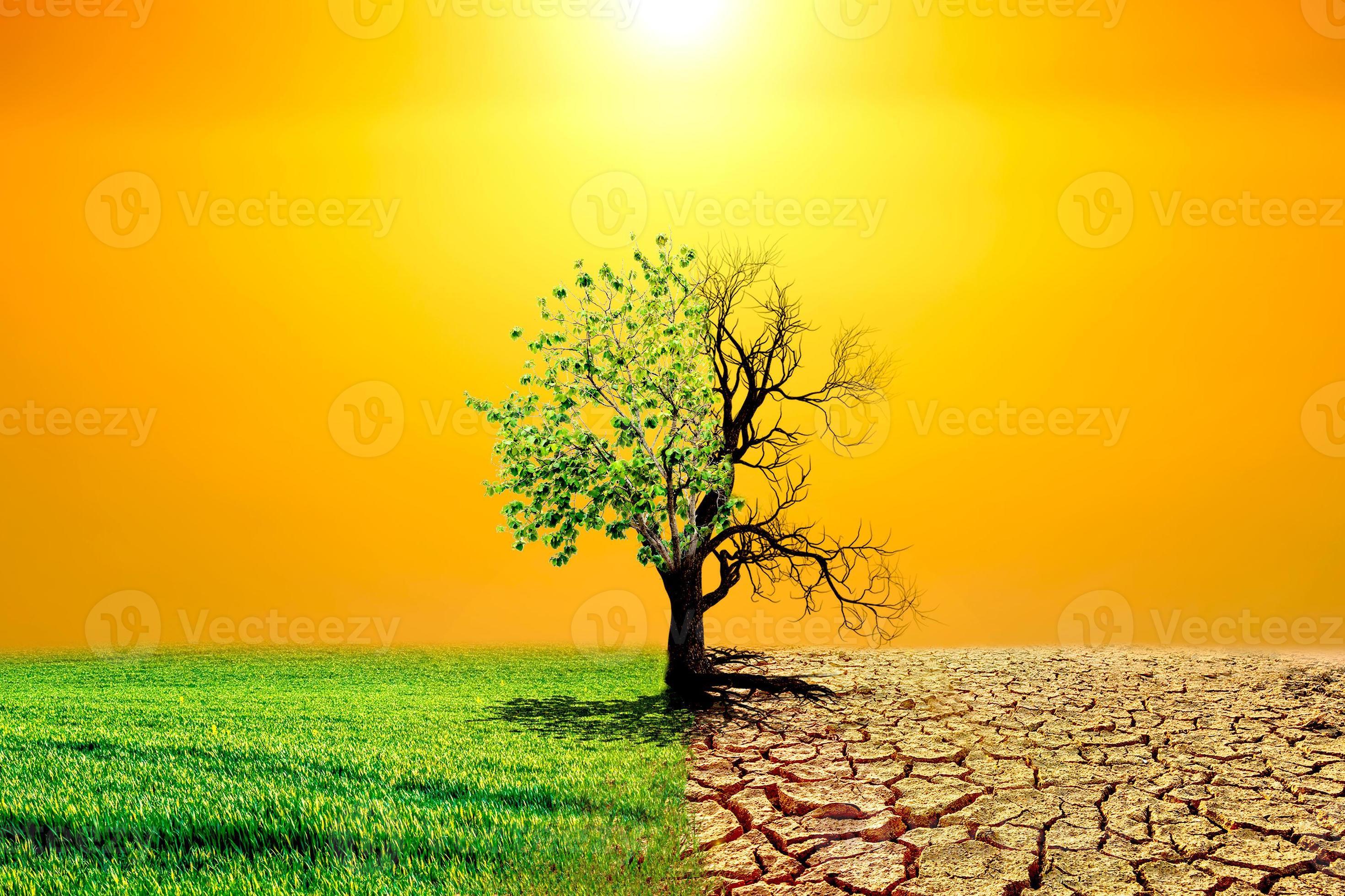 Global warming concept image showing the effects of dry land on the changing environment