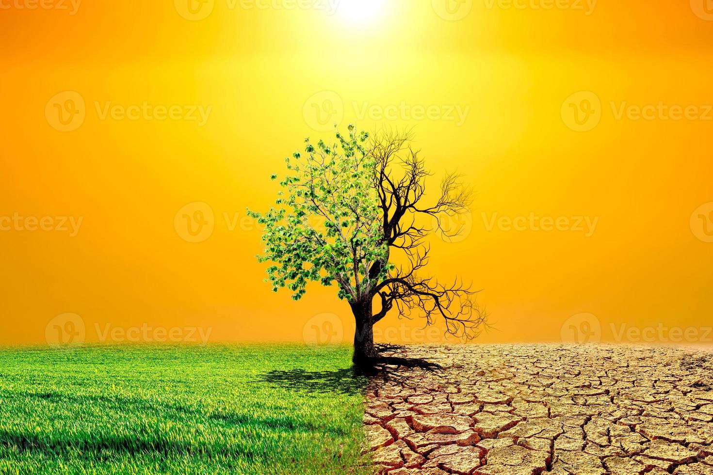imagen del concepto de calentamiento global que muestra los efectos de la tierra seca en el entorno cambiante foto